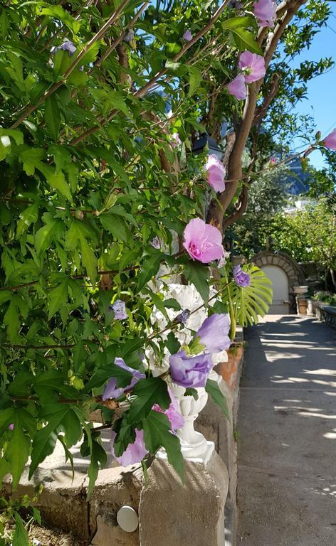 Casa Gaia Hotel Capri Kültér fotó